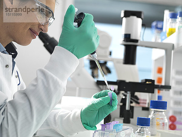 Biotech-Forschung  Wissenschaftler pipettiert während eines Experiments im Labor eine Probe in ein analysebereites Fläschchen