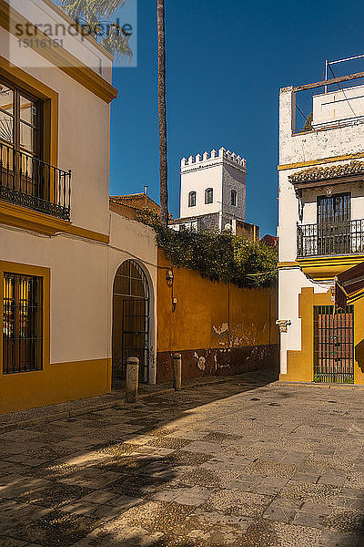 Das jüdische Viertel in der Nähe des Königlichen Alcazars  Sevilla  Spanien