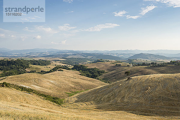 Landschaft mit abgeernteten Feldern  Toskana  Italien