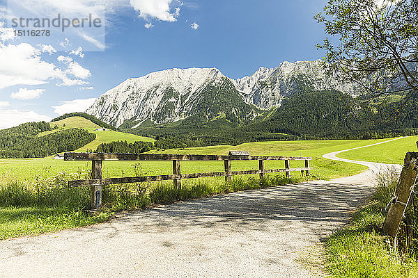 Österreich  Steiermark  Grimming-Berg