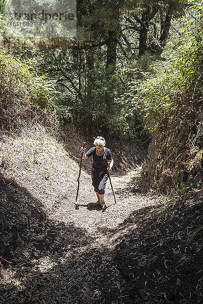Ältere Frau wandert durch den Wald im Garajonay-Nationalpark  La Gomera  Kanarische Inseln  Spanien