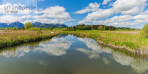 Deutschland  Bayern  Schwaben  Allgäu  Ostallgäu  Rohrweiherbach