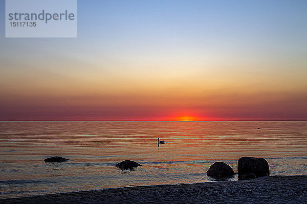 Blick auf das Meer bei Sonnenaufgang  Binz  Rügen  Deutschland