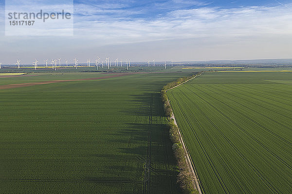 Deutschland  Sachsen-Anhalt  Luftaufnahme von Feldern mit Windpark im Hintergrund