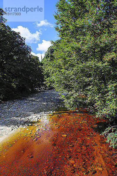 Fluss mit braunem Wasser aus Baumblättern  der durch das Oparara-Becken fließt  Karamea  Südinsel  Neuseeland