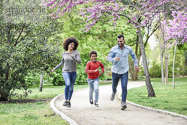Glückliche Familie beim Laufen und Spielen in einem Park