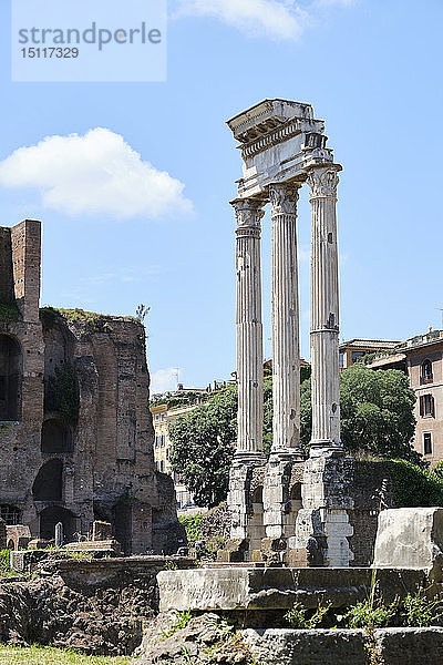 Forum Romanum  Rom  Italien