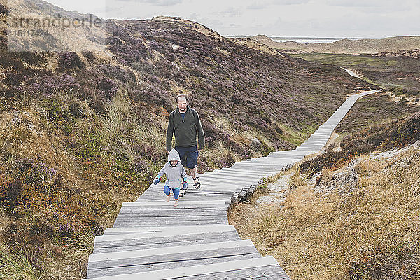 Vater und kleine Tochter gehen eine Treppe zwischen den Dünen hinauf  Sylt  Deutschland