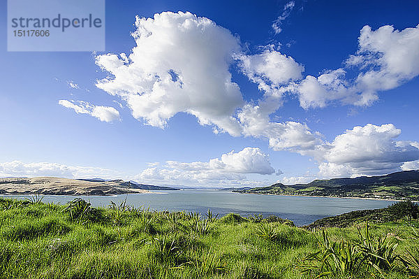 Blick auf das Arai-Te-Uru-Erholungsreservat am Südende des Hafens von Hokianga  Westküste Northland  Nordinsel  Neuseeland