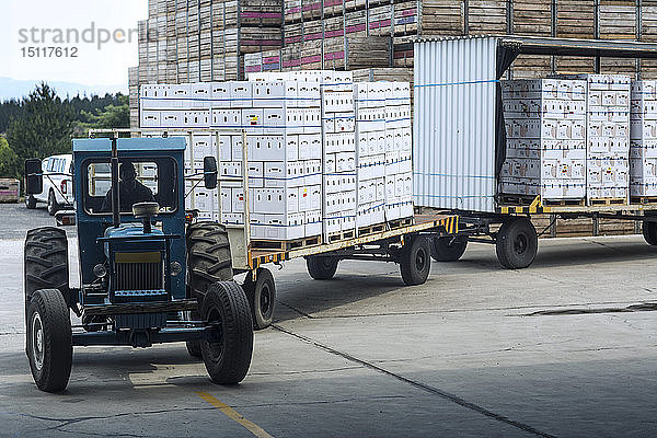 Traktor transportiert Produkte in Kisten auf dem Fabrikhof