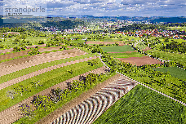 Luftaufnahme der Felder  Schwäbischer Wald  Rems-Murr-Kreis  Deutschland