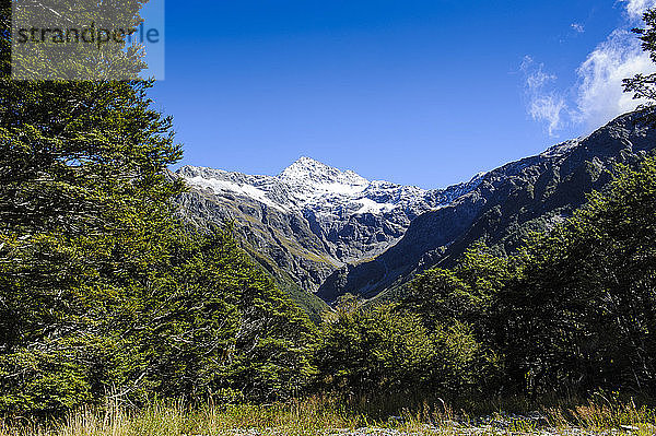 Otira-Schlucht Arthur's Pass  Südinsel  Neuseeland