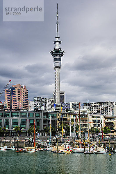 Die Innenstadt von Auckland mit dem Sky Tower  Neuseeland