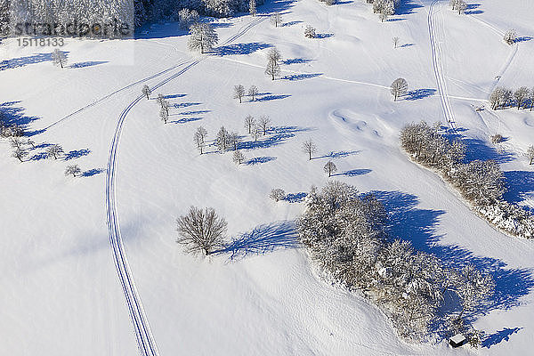 Deutschland  Bayern  Wolfratshausen  Loipe in der Nähe des Golfplatzes im Winter  Luftaufnahme