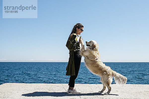 Lachende Frau spielt mit ihrem Labrador Retriever auf einem Dock