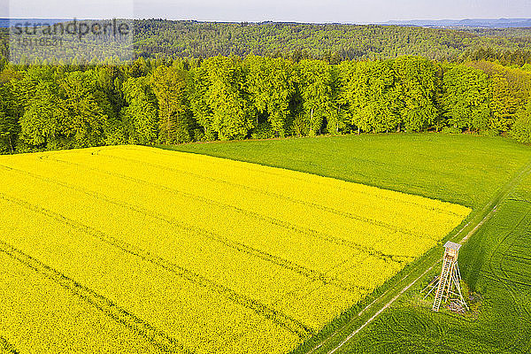 Deutschland  Baden-Württemberg  Schwäbischer Wald  Luftaufnahme von Feldern mit Ansitz