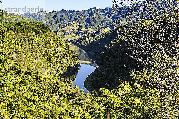 Whanganui River  Nordinsel  Neuseeland