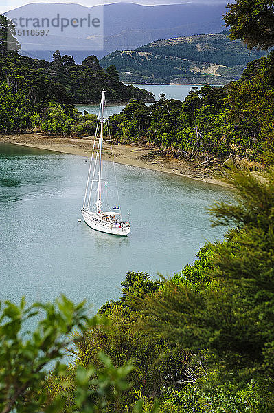 Segelboot in den Marlborough Sounds  Südinsel  Neuseeland