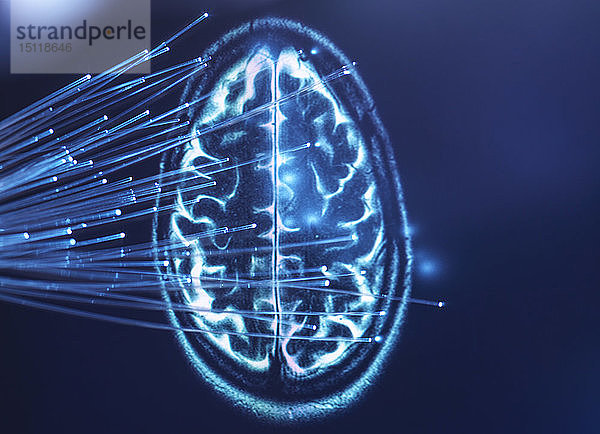 Künstliche Intelligenz  Glasfaseroptik zur Übertragung von Daten ins Gehirn