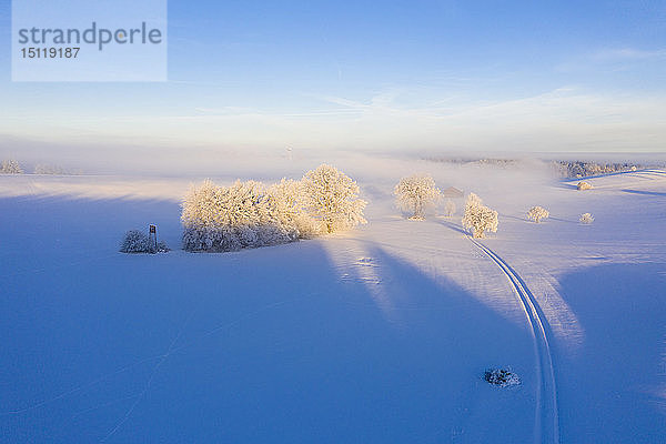 Deutschland  Bayern  bei Muensing  Winterlandschaft bei Sonnenaufgang  Luftaufnahme