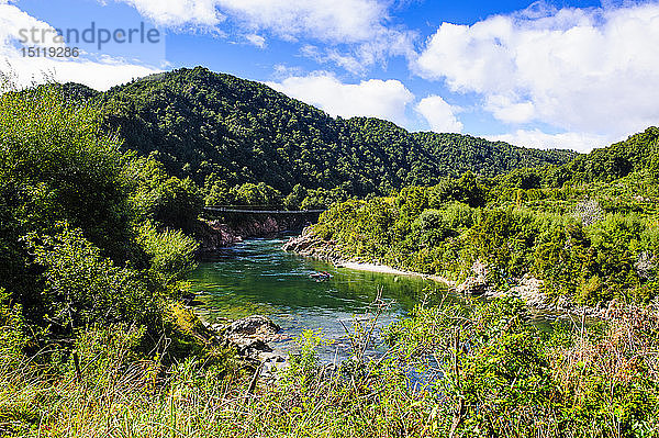 Hängebrücke über die Buller-Schlucht  Südinsel  Neuseeland