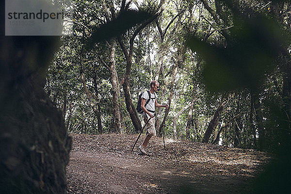 Junger Mann wandert durch den Wald im Garajonay-Nationalpark  La Gomera  Kanarische Inseln  Spanien