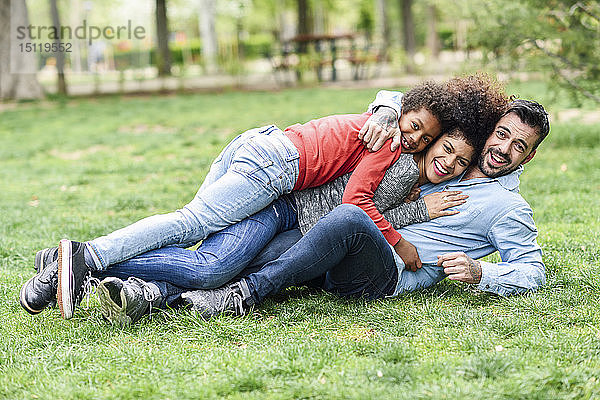 Glückliche Familie  die sich umarmt  auf Gras in einem Park liegt