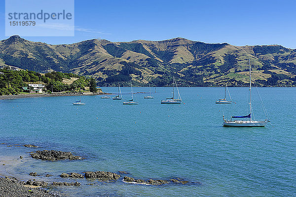 Segelboote im Hafen von Akaroa  Halbinsel Banks  Südinsel  Neuseeland
