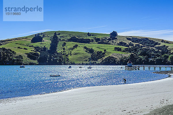 Strand in Akaroa  Hafen von Akaroa  Halbinsel Banks  Südinsel  Neuseeland