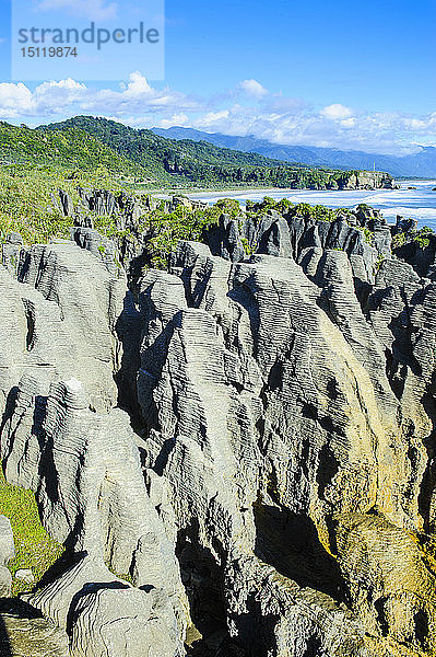 Pancake Rocks  Paparoa-Nationalpark  Südinsel  Neuseeland