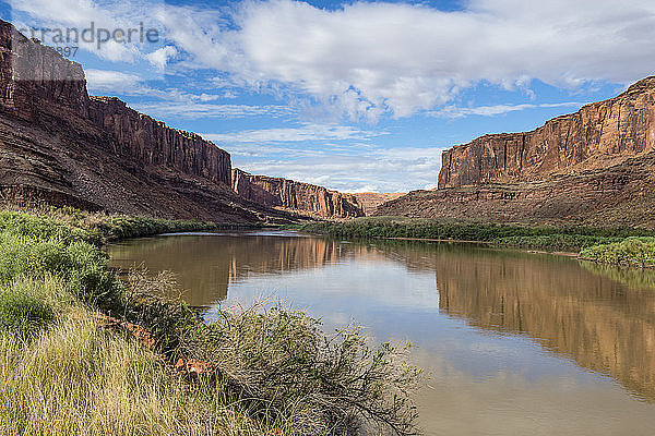 USA  Utah  Colorado-Fluss  Canyonlands-Nationalpark