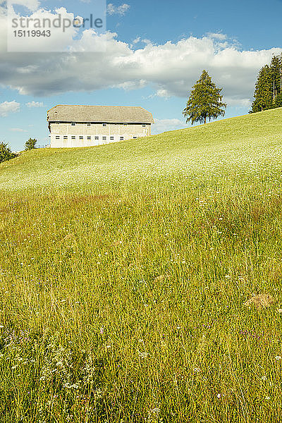 Österreich  Oberösterreich  Mühlviertel  Bauernhaus