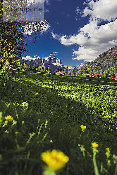 Italien  Trentino Alto Adige  Vigo di Fassa  Blick auf das Dorf und die Dolomiten