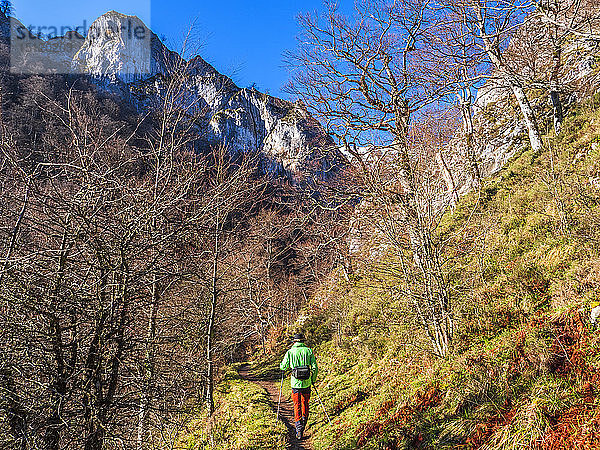 Spanien  Asturien  Kantabrisches Gebirge  älterer Mann auf einer Wanderung