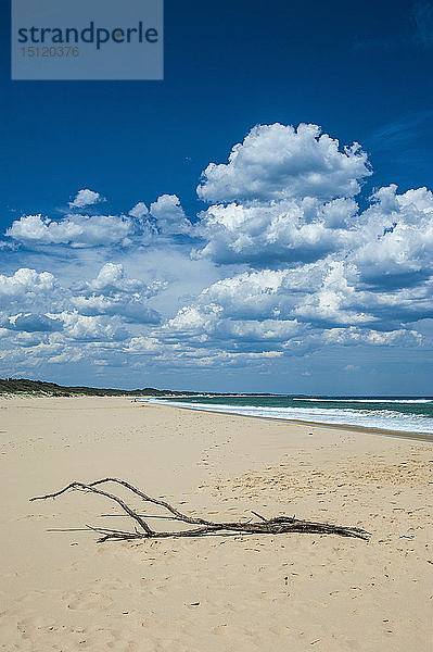 Strand am Cape Conran  Victoria  Australien