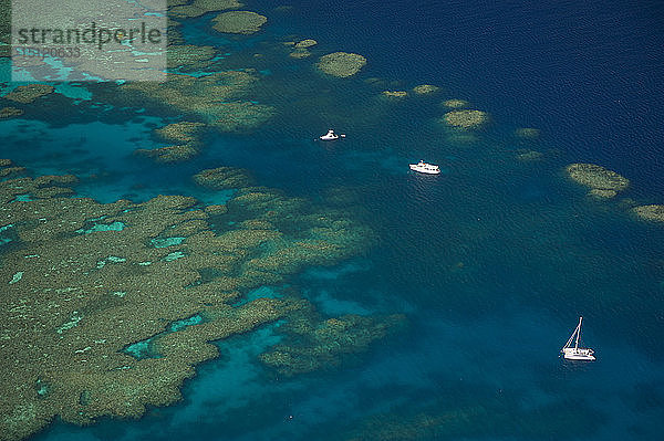 Luftaufnahme des Grossen Barriereriffs  Queensland  Australien