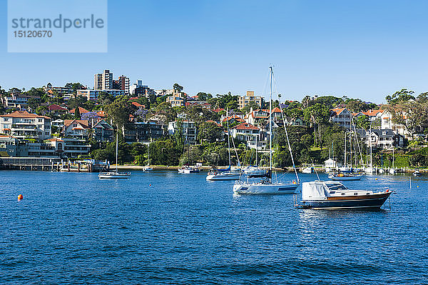 Segelboote im Hafen von Sydney  New South Wales  Australien