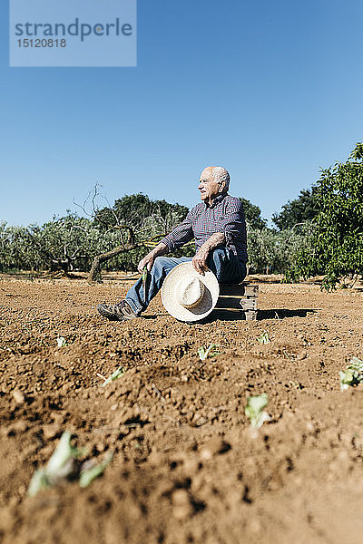 Senior-Landwirt auf Holzkiste sitzend  nachdem er Gemüse im Garten gepflanzt hat