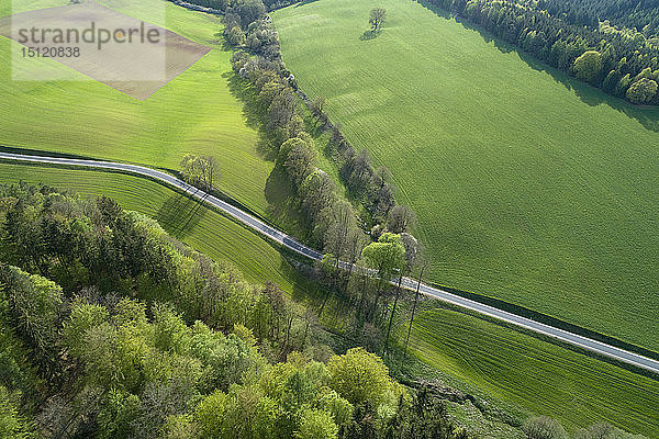 Luftaufnahme einer Landstraße durch eine Landschaft mit landwirtschaftlichen Feldern und Wald  Frühling  Franken  Bayern  Deutschland