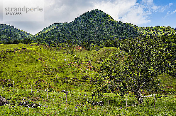 Berglandschaft in der Nähe der deutschen Stadt Pomerode  Brasilien