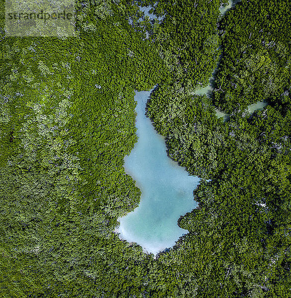 Luftaufnahme eines türkisfarbenen Sees und des Regenwaldes  Holbox  Yucatan  Mexiko