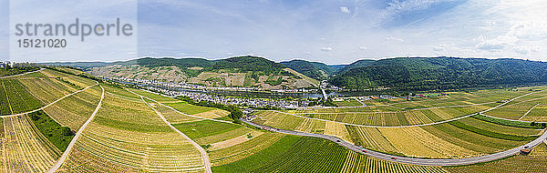 Deutschland  Rheinland-Pfalz  Zell an der Mosel  Weinberge