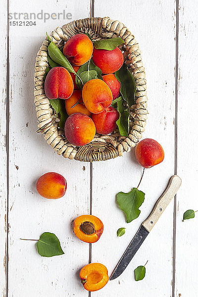 Aprikosen im Korb  Messer auf weißem Holz