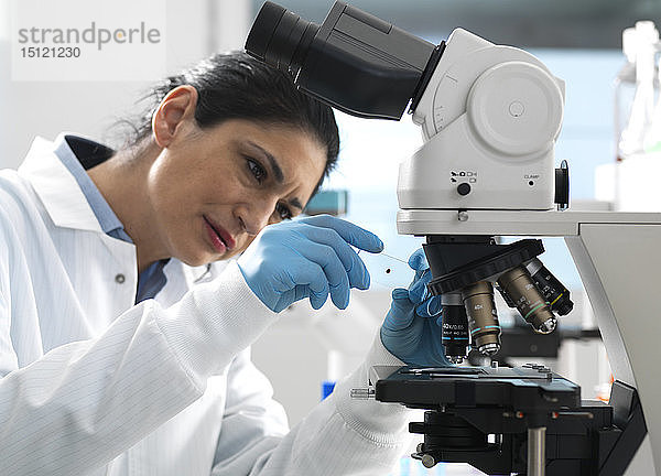 Laborant  der einen Objektträger mit einer Blutprobe untersucht  die im Labor unter dem Mikroskop vergrößert werden kann