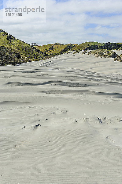 Weiße Sanddünen am Wharariki Beach  Südinsel  Neuseeland