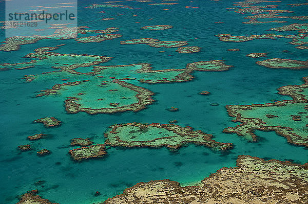 Luftaufnahme des Great Barrier Reef  Queensland  Australien