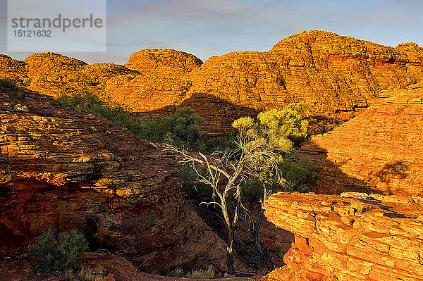 Kings Canyon  Watarrka-Nationalpark  Nordterritorium  Australien