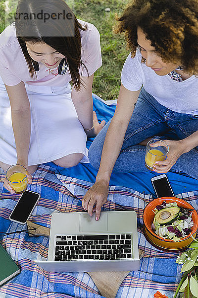 Zwei Frauen machen ein Picknick und benutzen einen Laptop im Park