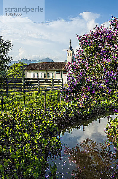 Kleine Kirche hinter einem blühenden Busch bei Pomerode  Brasilien