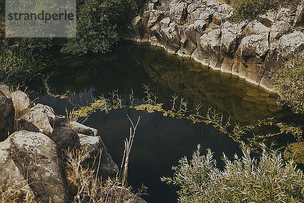 Ein Teich in einer Schlucht  Yehudiya-Reservat  Golan  Israel